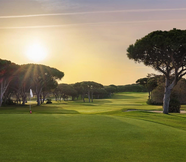 Community Engagement