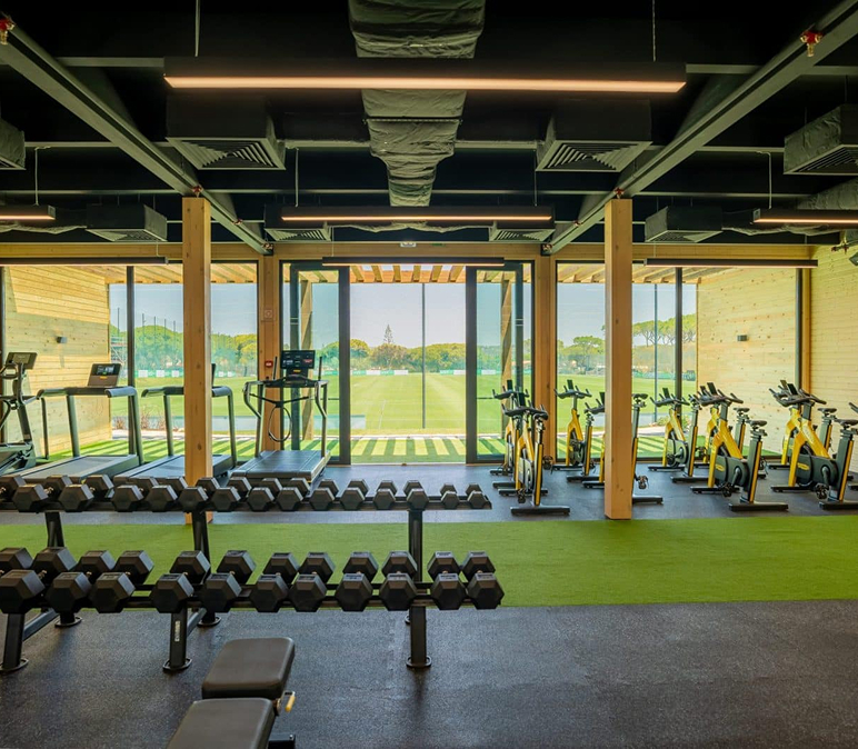 Sustainability Efforts